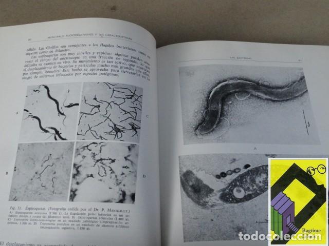 Libros de segunda mano: SENEZ, Jacques C.: Microbiolog&iacute;a general - Foto 2