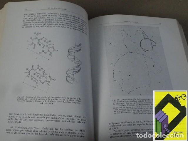 Libros de segunda mano: SENEZ, Jacques C.: Microbiolog&iacute;a general - Foto 3
