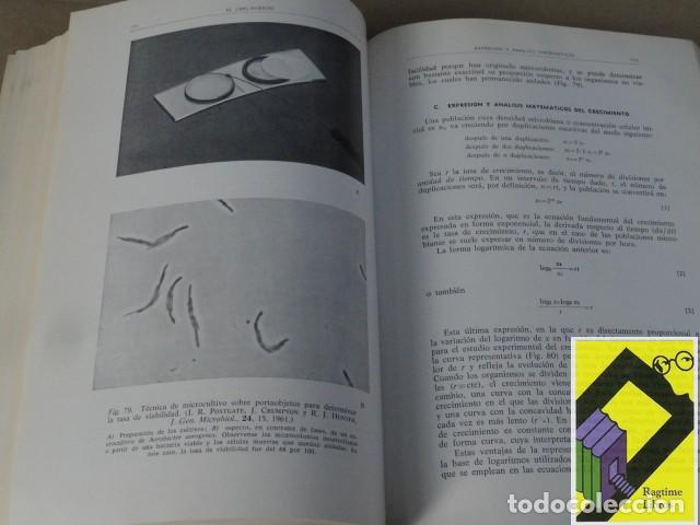 Libros de segunda mano: SENEZ, Jacques C.: Microbiolog&iacute;a general - Foto 4