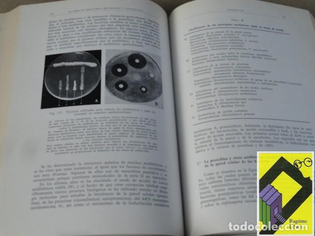 Libros de segunda mano: SENEZ, Jacques C.: Microbiolog&iacute;a general - Foto 5
