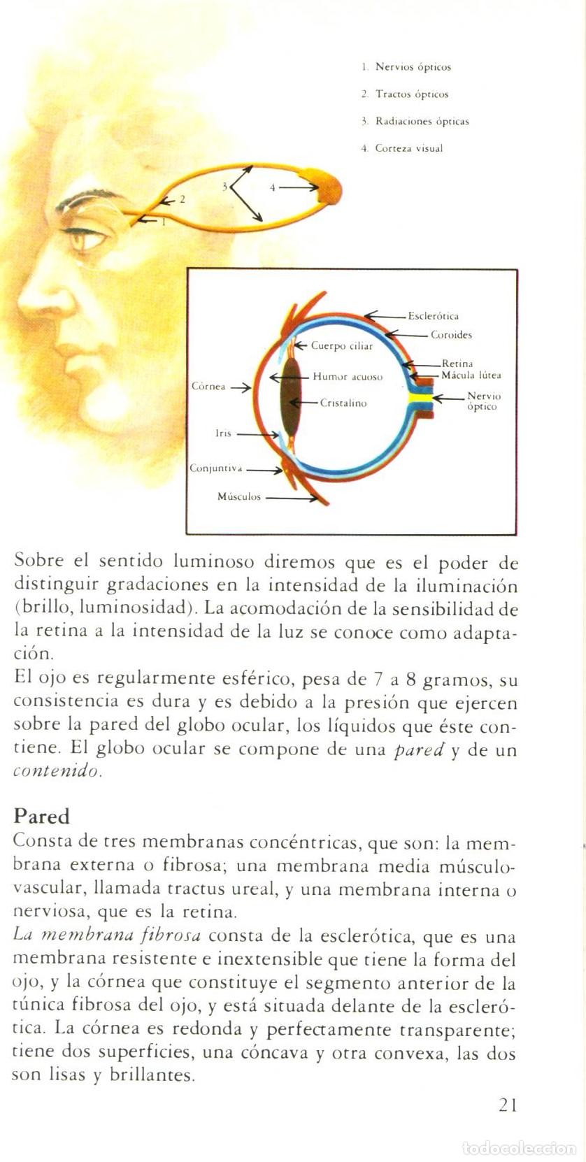 Libros de segunda mano: Medicina en el hogar - Asin, Javier - Foto 3