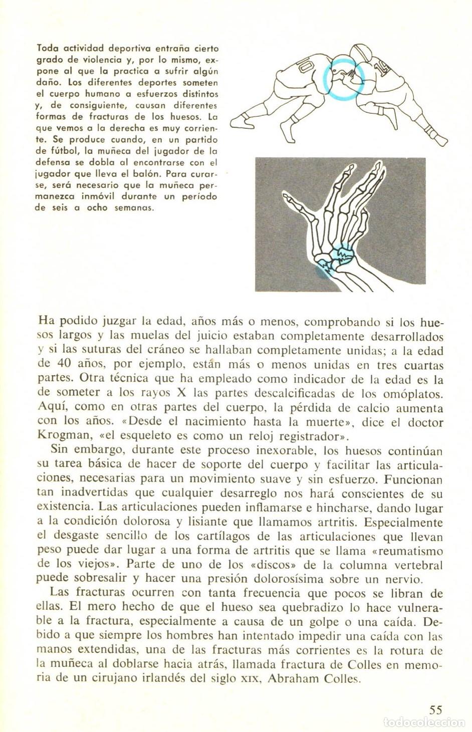 Libros de segunda mano: El cuerpo humano - E. Nourse, Alan y otros - Foto 2
