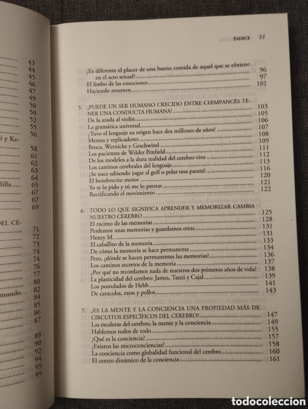 Libros de segunda mano: CONTINUUM &iquest;C&Oacute;MO FUNCIONA EL CEREBRO? (FRANCISCO MORA) - Foto 5