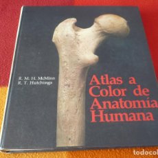 Libros de segunda mano: ATLAS A COLOR DE ANATOMIA HUMANA ( MCMINN HUTCHINGS ) CABEZA COLUMNA VERTEBRAL TORAX PELVIS MEDULA