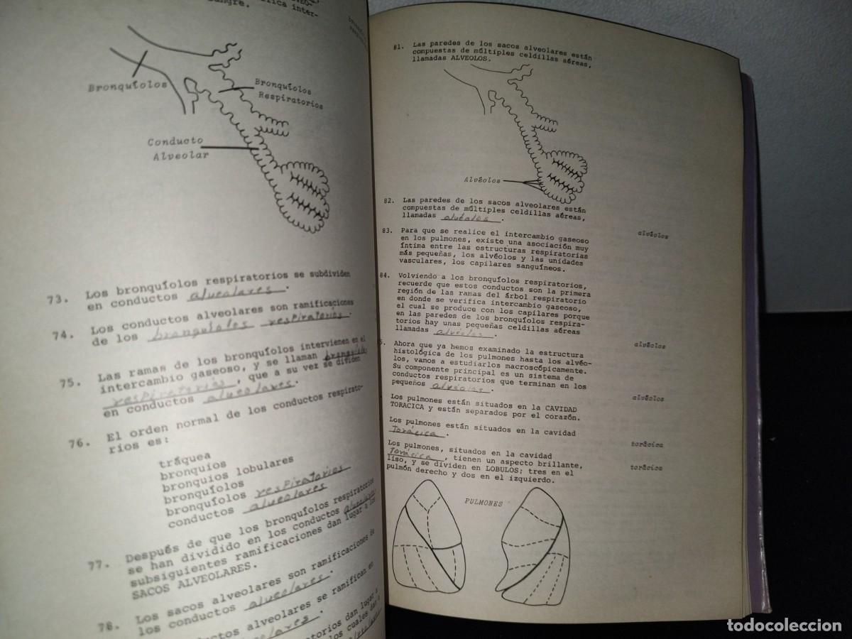 Libros de segunda mano: 91- ANATOM&Iacute;A HUMANA. TEXTO PROGRAMADO - EDITORIAL LIMUSA 1976 - Foto 6
