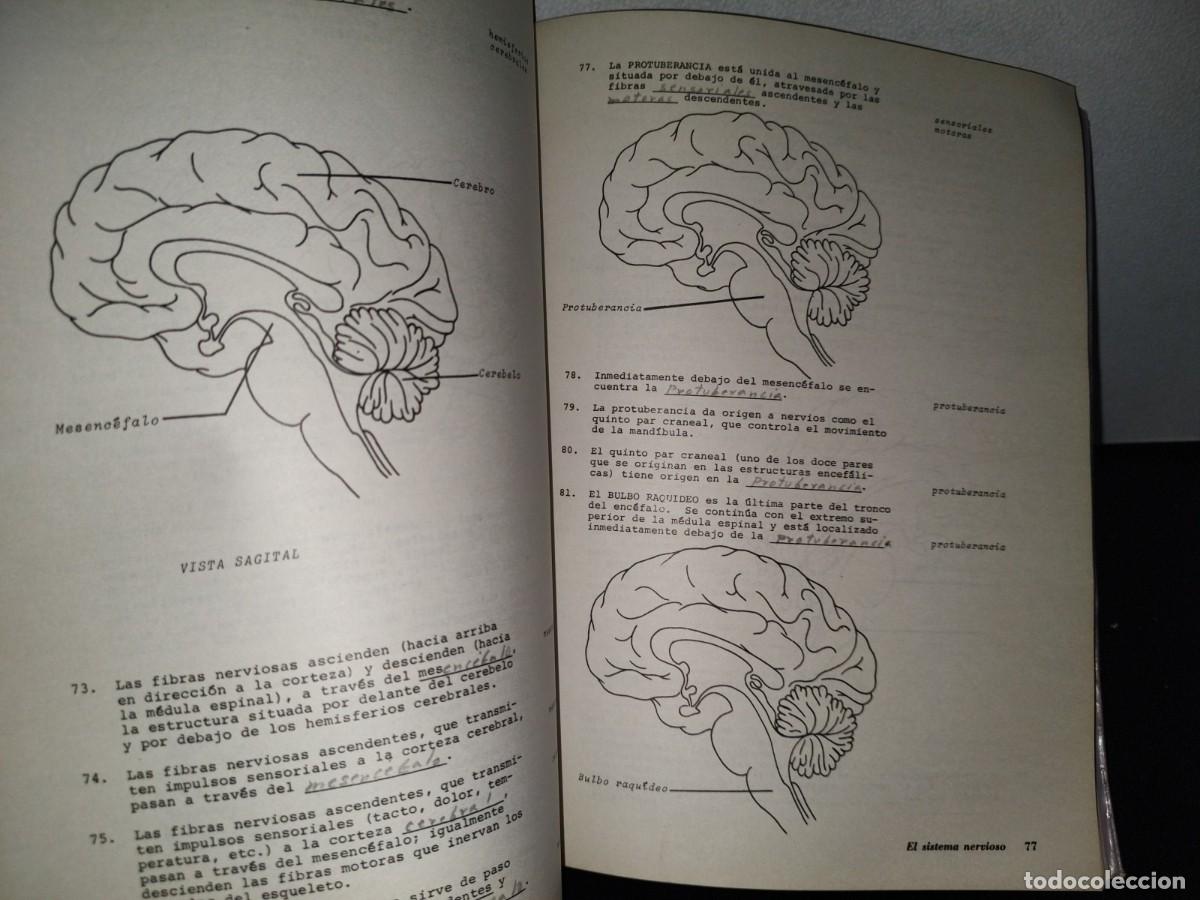 Libros de segunda mano: 91- ANATOM&Iacute;A HUMANA. TEXTO PROGRAMADO - EDITORIAL LIMUSA 1976 - Foto 8