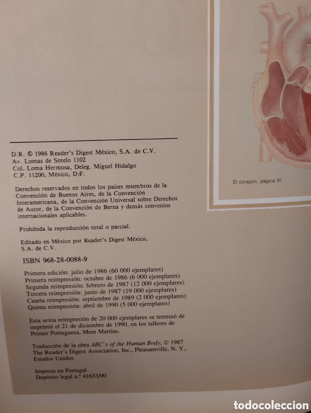 Libros de segunda mano: ABC del cuerpo humano - Foto 3