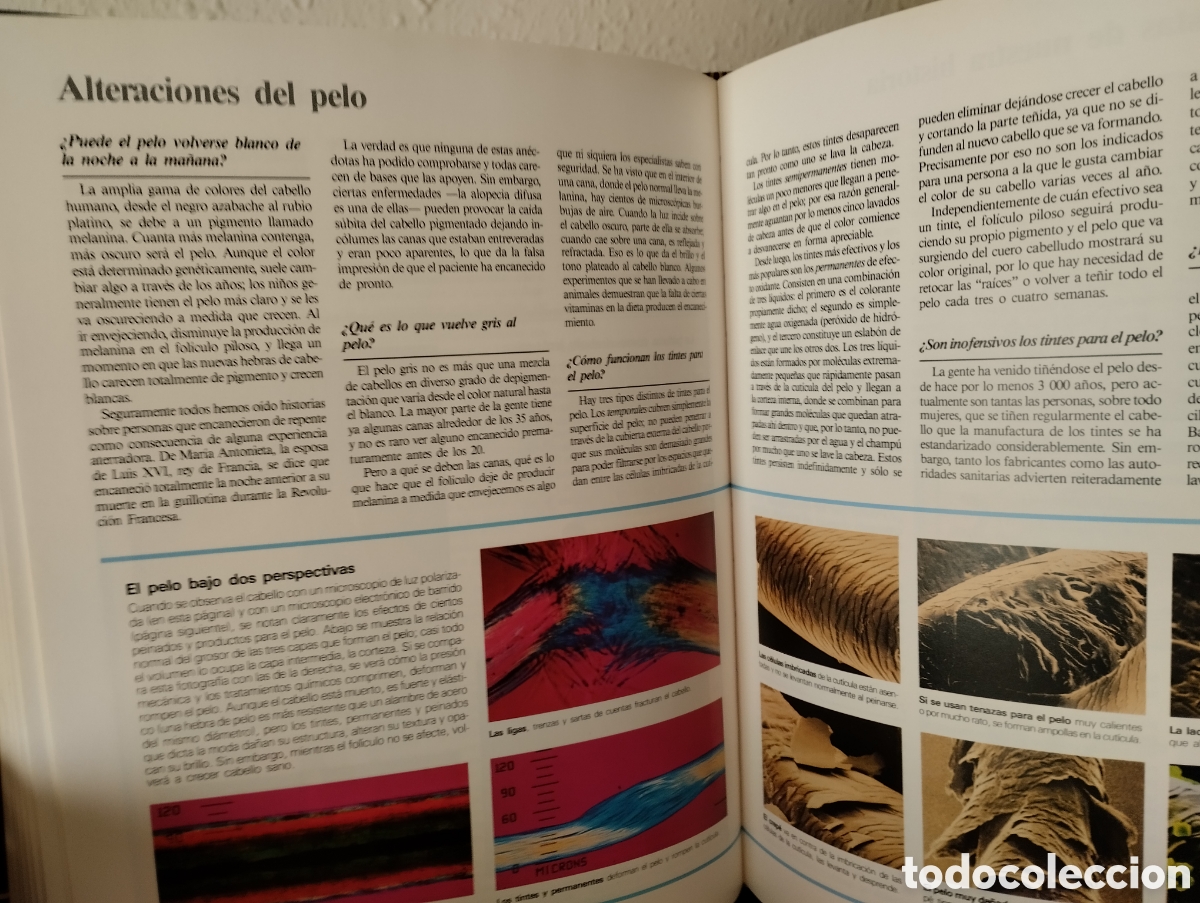 Libros de segunda mano: ABC del cuerpo humano - Foto 4