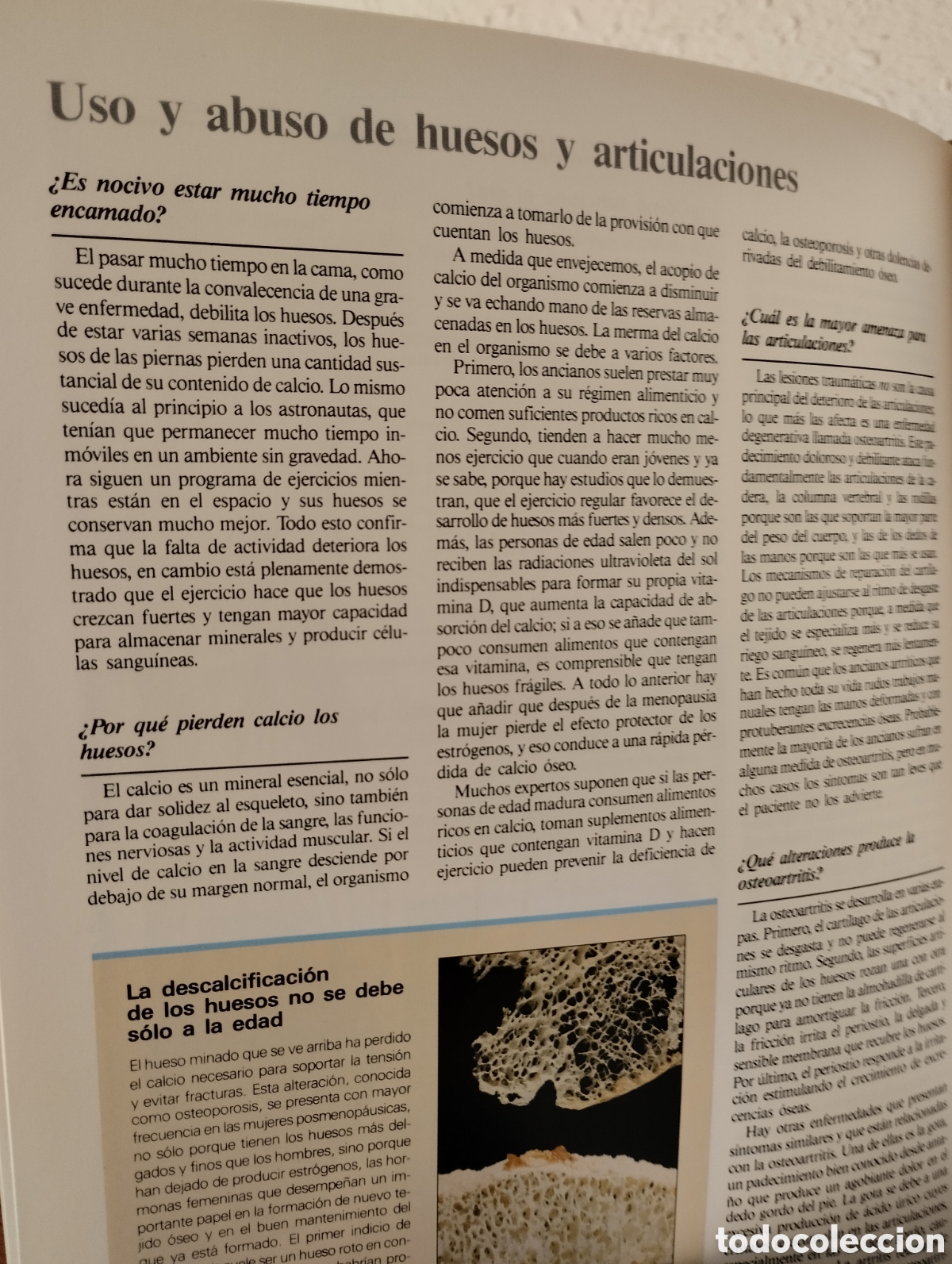Libros de segunda mano: ABC del cuerpo humano - Foto 6