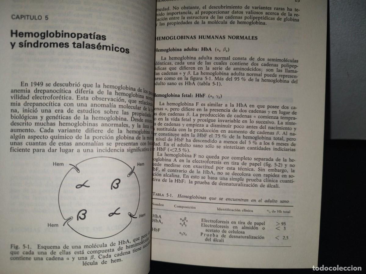 Libros de segunda mano: 93- INTRODUCCI&Oacute;N A LA HEMATOLOG&Iacute;A - SAMUEL I. RAPAPORT - Foto 9