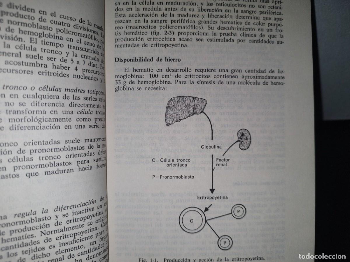 Libros de segunda mano: 93- INTRODUCCI&Oacute;N A LA HEMATOLOG&Iacute;A - SAMUEL I. RAPAPORT - Foto 10