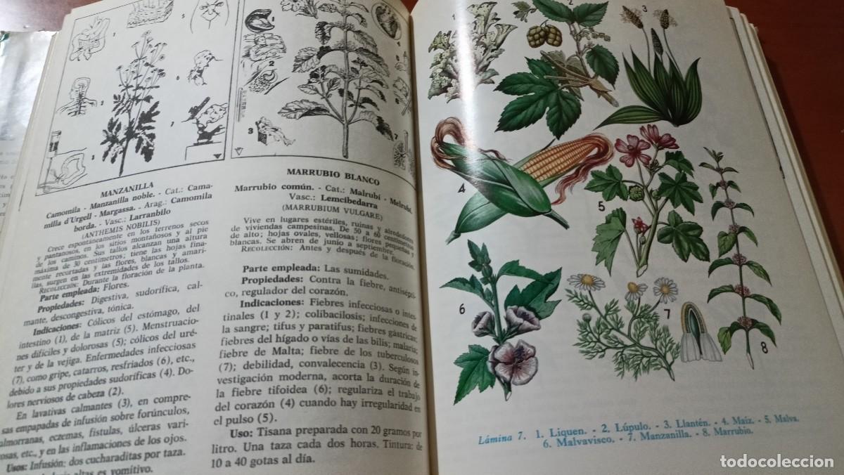 Libros de segunda mano: Plantas medicinales - Dr. Adri&aacute;n Vander - 1992 - Foto 3
