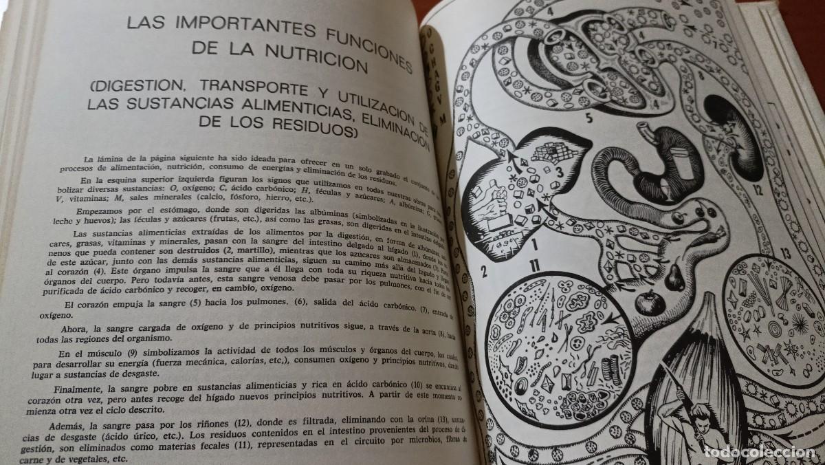 Libros de segunda mano: Plantas medicinales - Dr. Adri&aacute;n Vander - 1992 - Foto 4