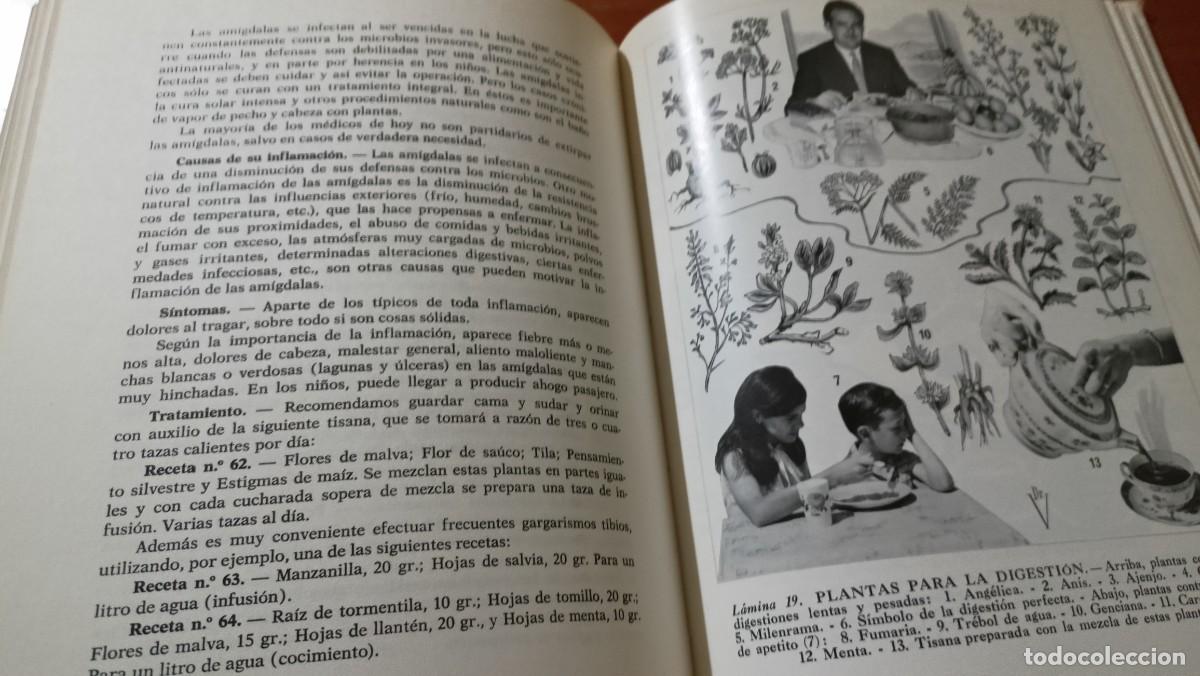 Libros de segunda mano: Plantas medicinales - Dr. Adri&aacute;n Vander - 1992 - Foto 5