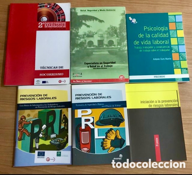 Livres d'occasion: LOTE DE LIBROS DE RIESGOS LABORALES.