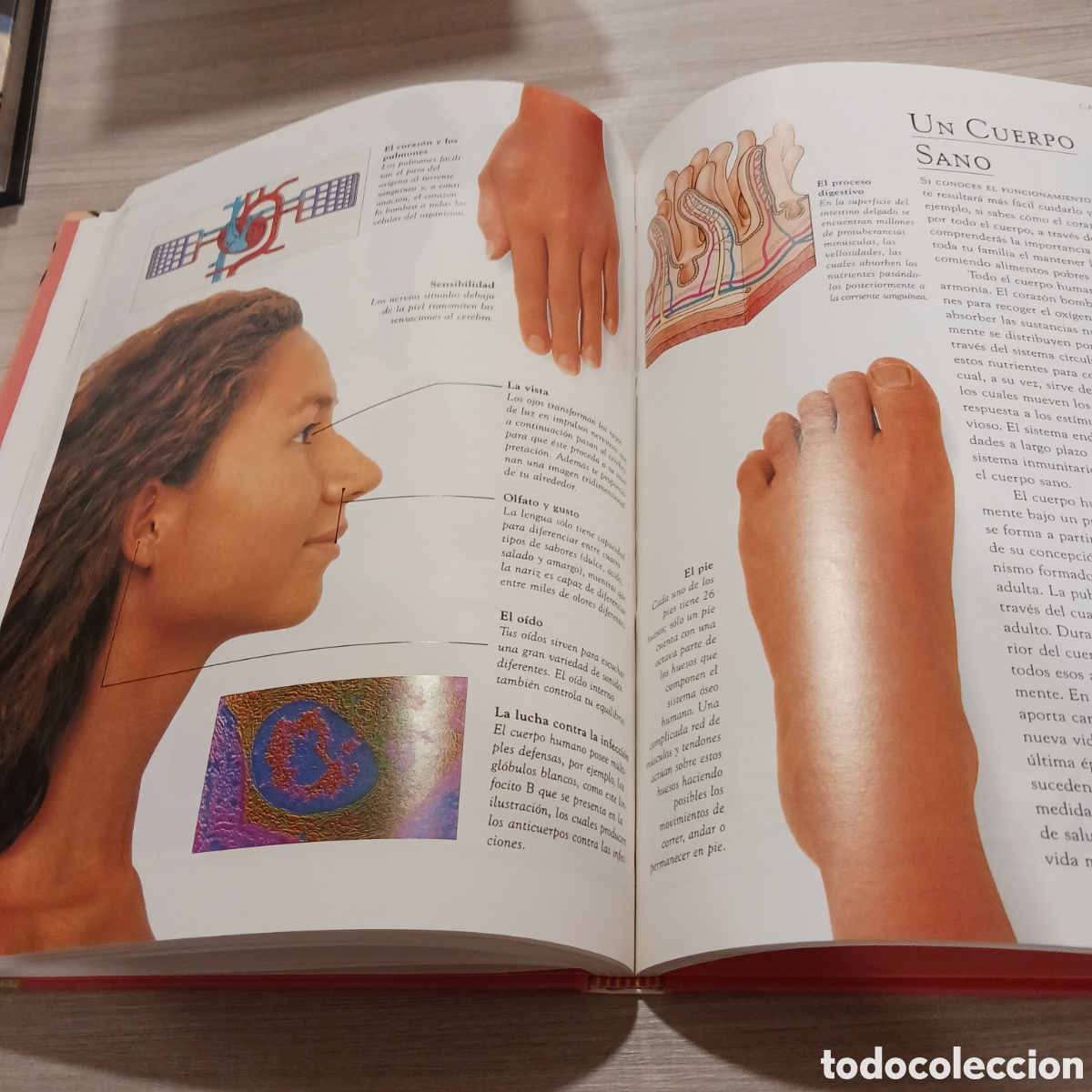 Libros de segunda mano: Gu&iacute;a pr&aacute;ctica de la Salud Dr.Stephen Carrol - Foto 9