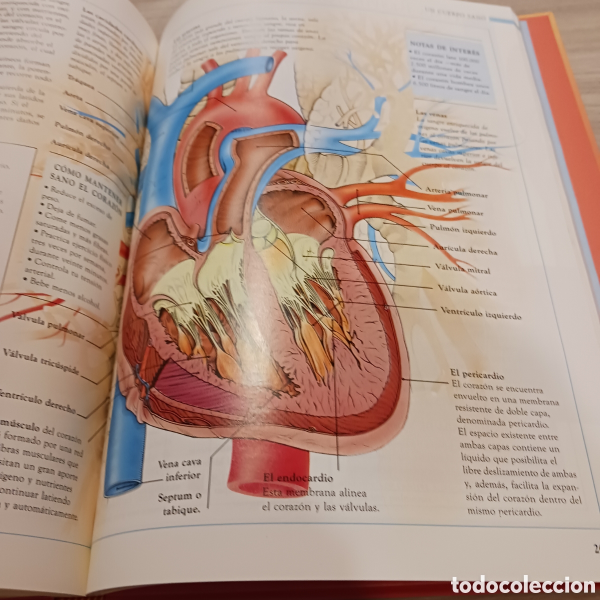Libros de segunda mano: Gu&iacute;a pr&aacute;ctica de la Salud Dr.Stephen Carrol - Foto 11