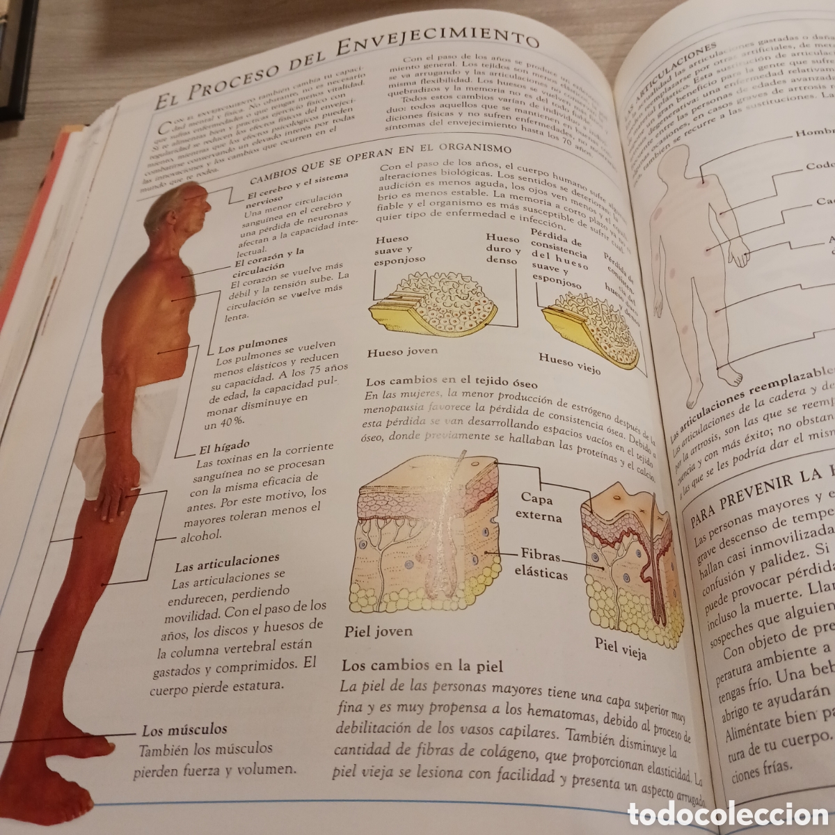 Libros de segunda mano: Gu&iacute;a pr&aacute;ctica de la Salud Dr.Stephen Carrol - Foto 13