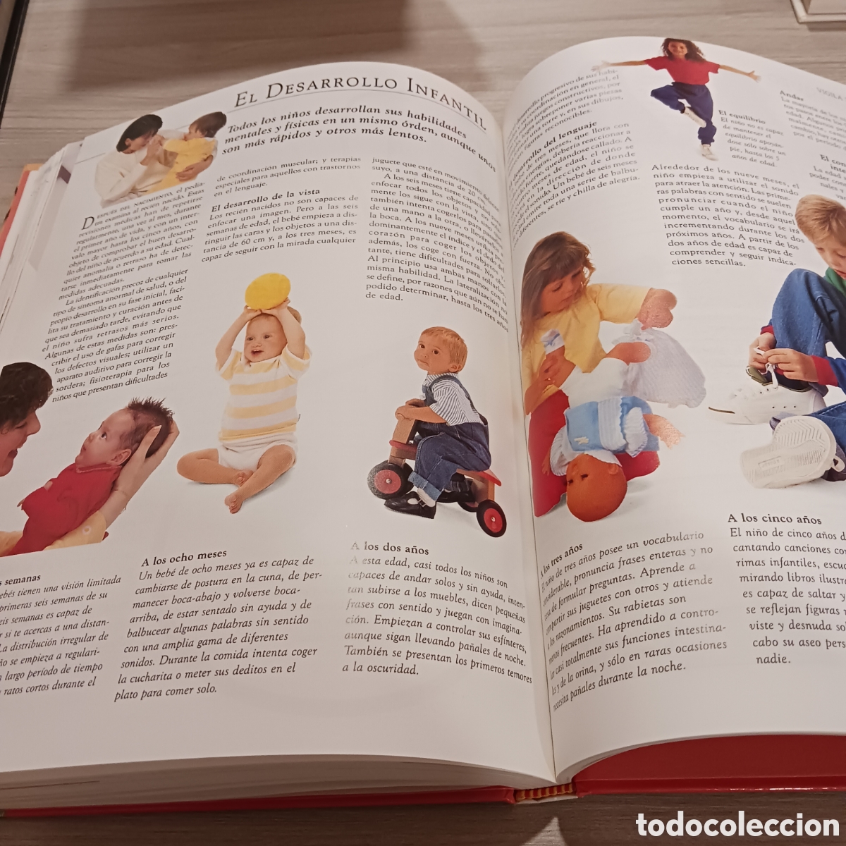 Libros de segunda mano: Gu&iacute;a pr&aacute;ctica de la Salud Dr.Stephen Carrol - Foto 14