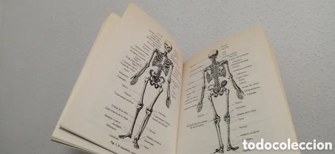 Libros de segunda mano: Tratado pr&aacute;ctico de quiromasaje - Foto 8