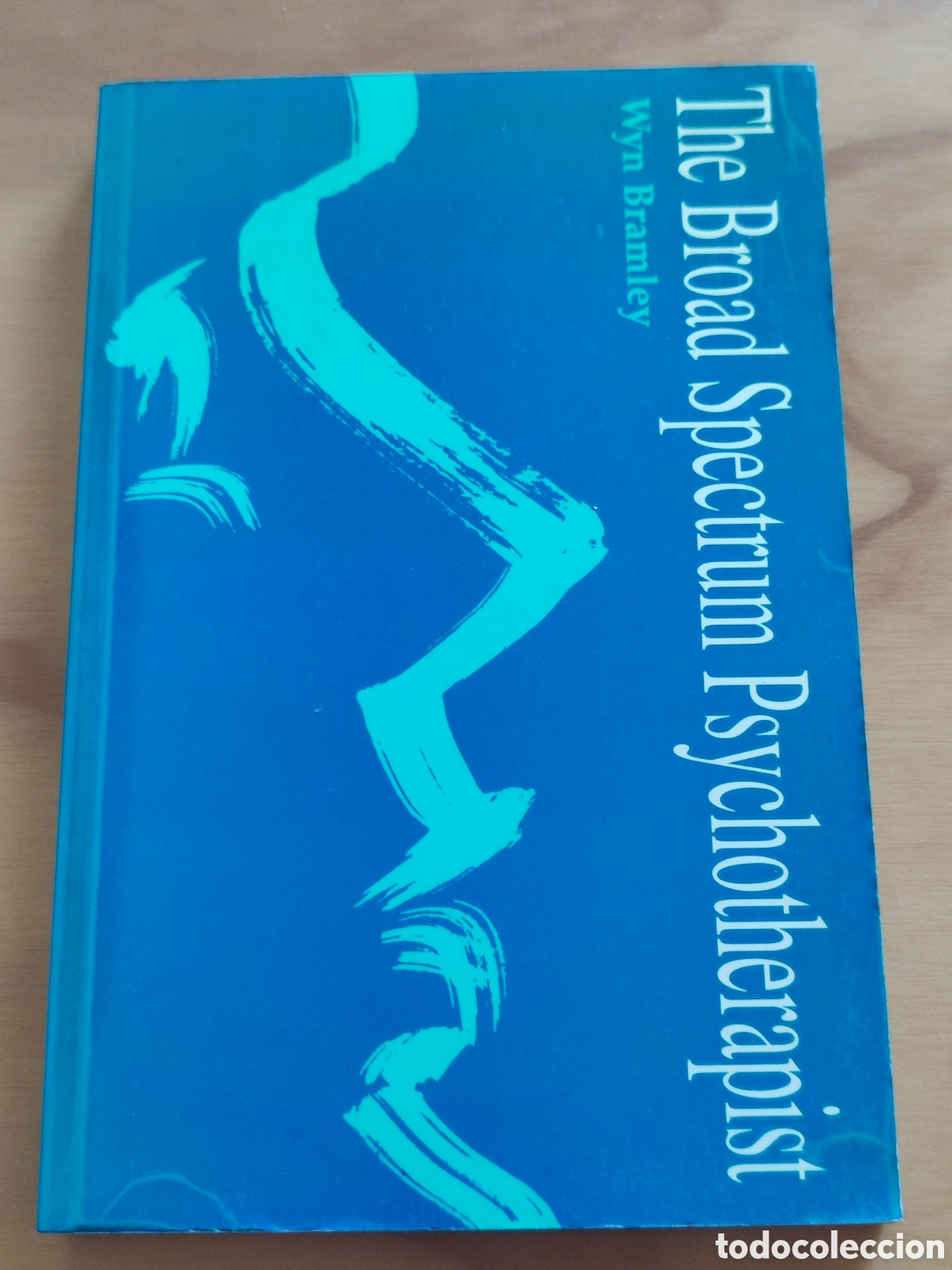 Gebrauchte B&uuml;cher: The Broad Spectrum Psychotherapist Wyn Branley