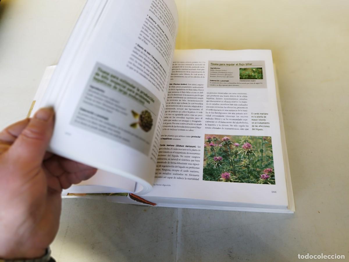 Libros de segunda mano: EL GRAN LIBRO DE LA SALUD / OCEANO / GARA66 - Foto 19