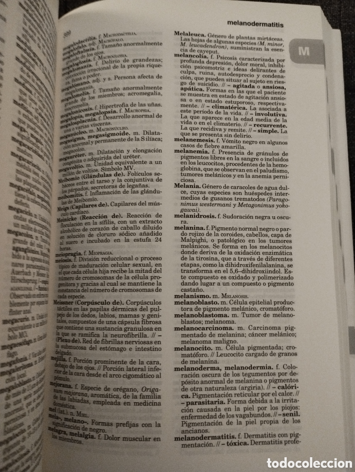 Libros de segunda mano: DICCIONARIO M&Eacute;DICO (MASSON) - Foto 4