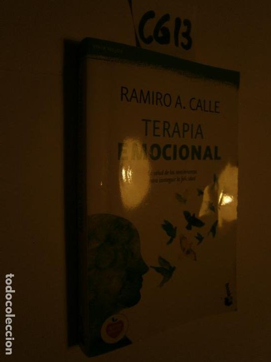 Libros de segunda mano: TERAPIA EMOCIONAL - Foto 1