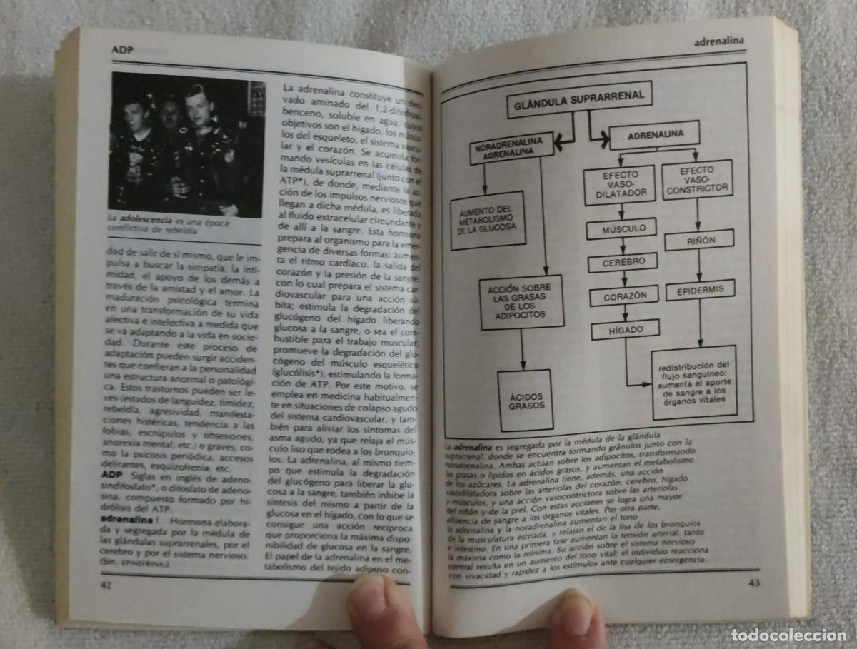 Libros de segunda mano: Medicina y salud . - Foto 2