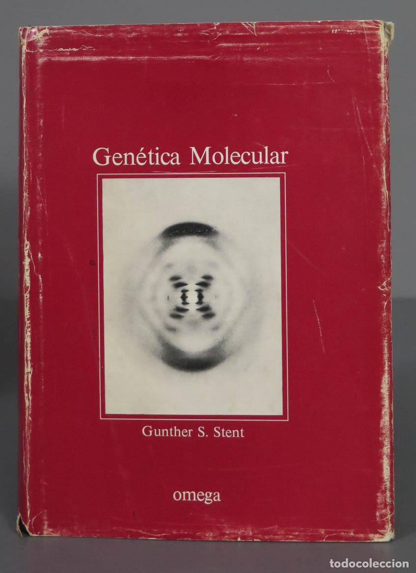 Libros de segunda mano: GENETICA MOLECULAR. Gunther S. Stent - Foto 1