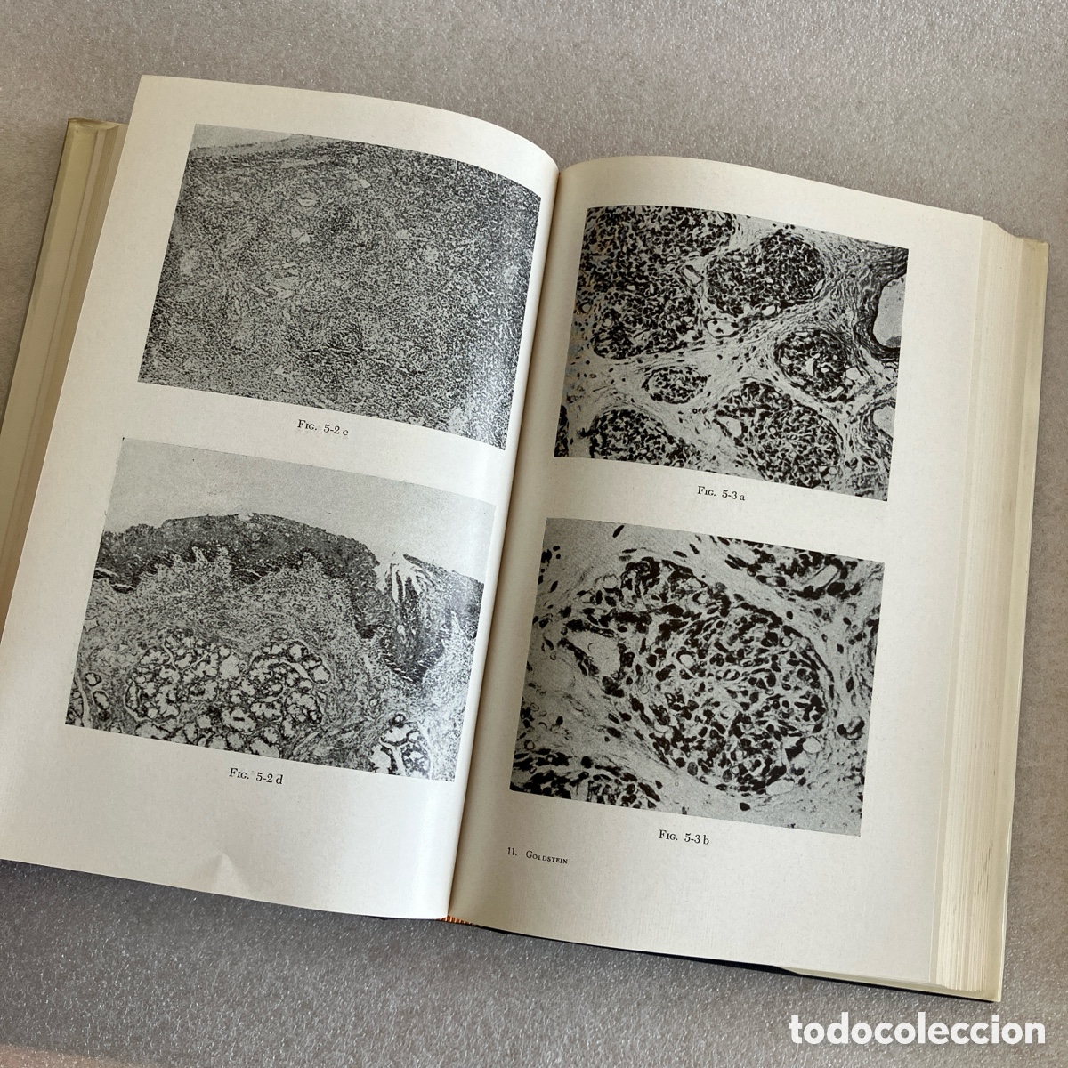 Libros de segunda mano: El Timo, Goldstein & Mackay 1972 - Foto 5