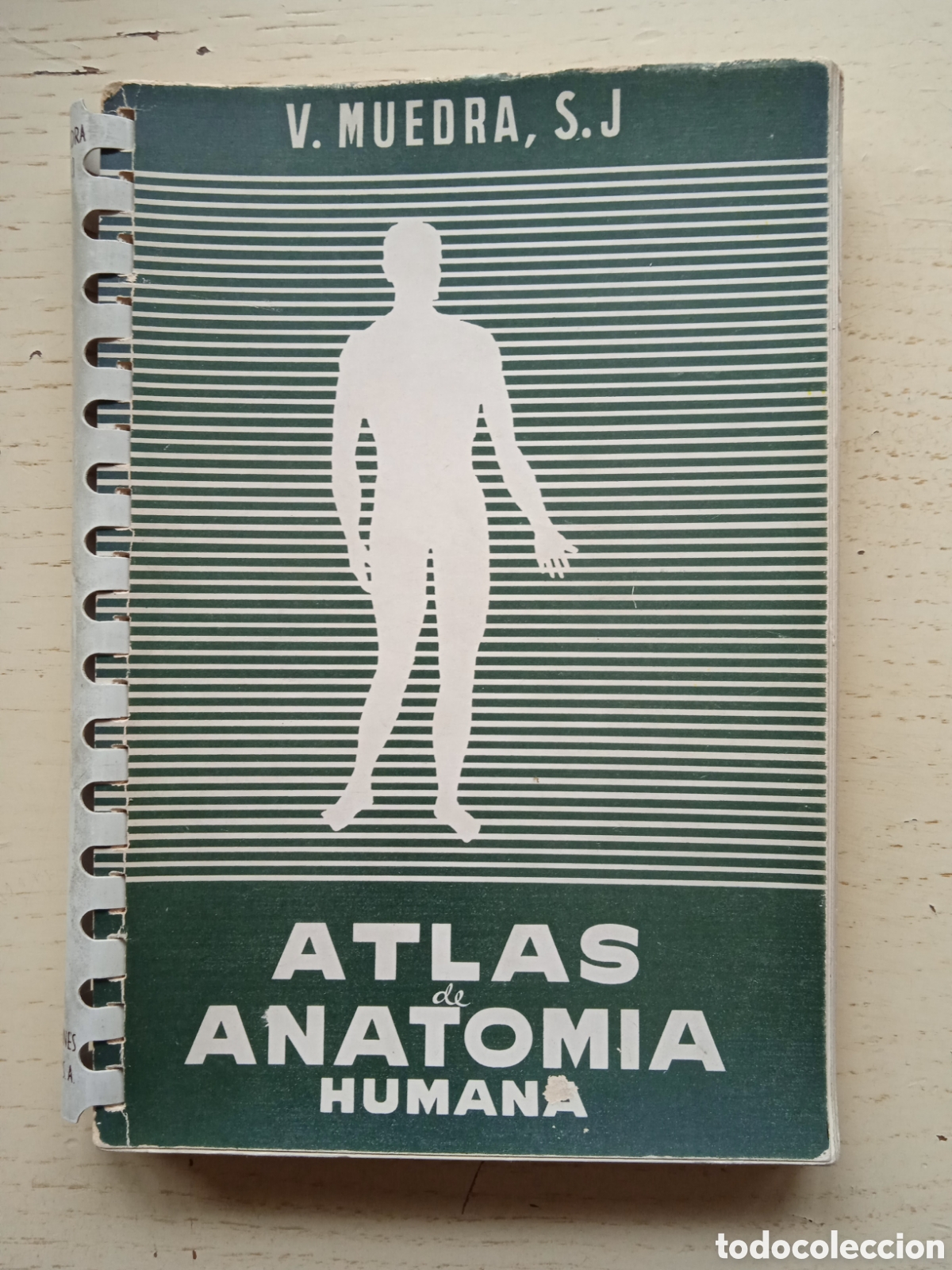 Libros de segunda mano: Atlas Anatom&iacute;a Humana - Foto 1
