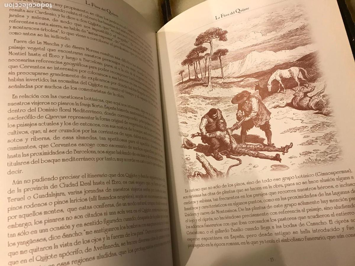 Libros de segunda mano: La flora del Quijote. - Foto 4