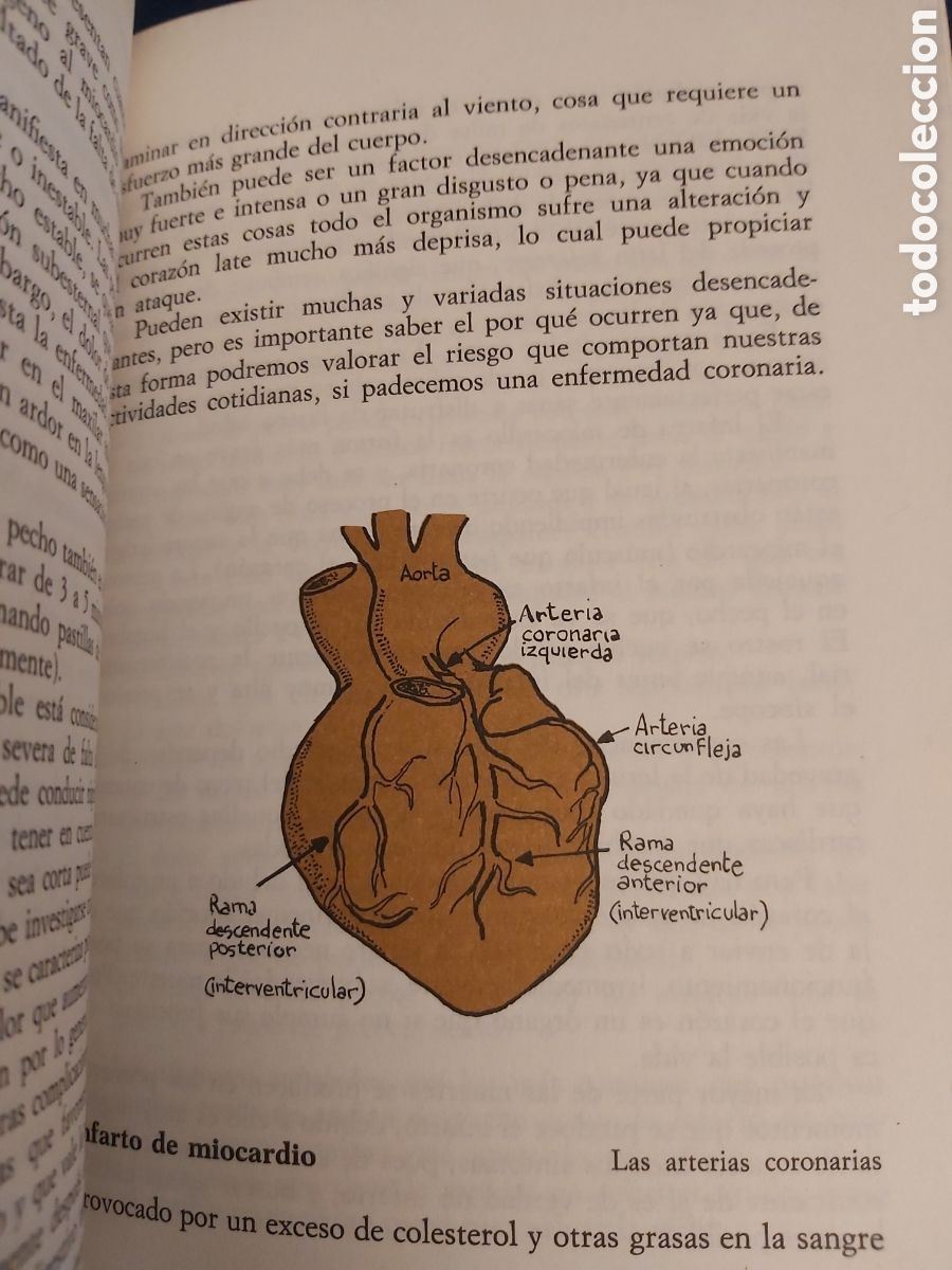 Libros de segunda mano: EL COLESTEROL $ MARTA ROS&Eacute;S $ EDITORIAL DE VECCHI $ 1990 - Foto 5