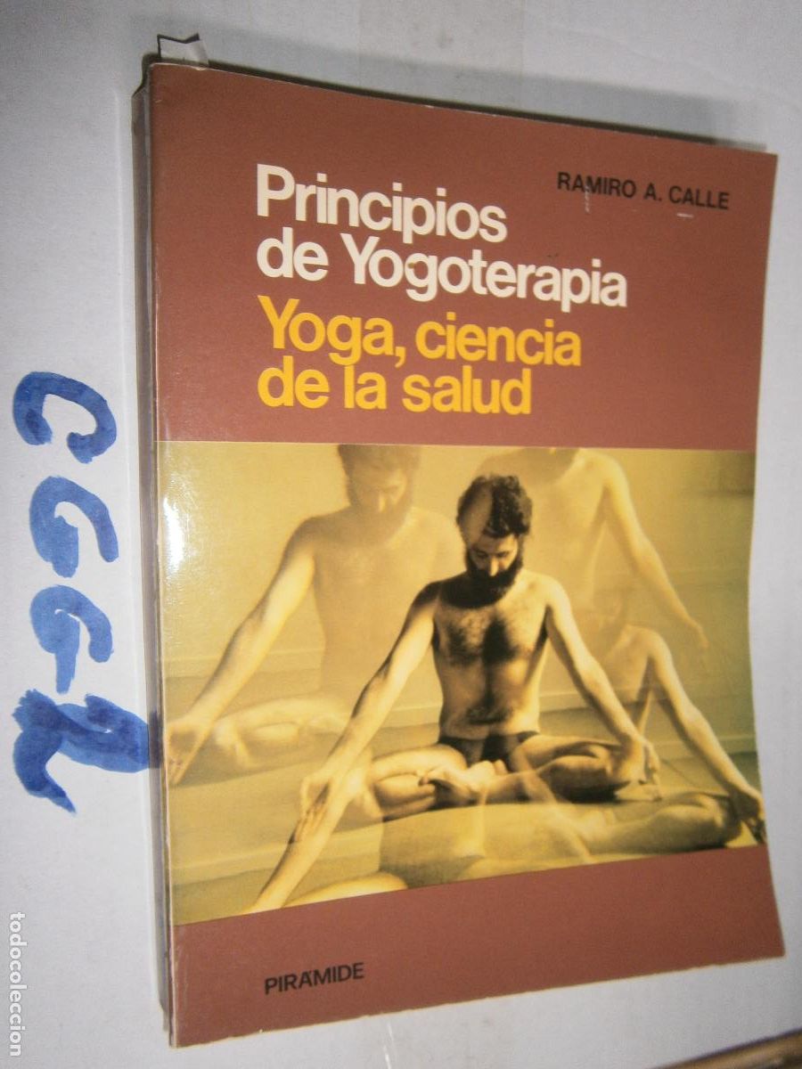 Libros de segunda mano: PRINCIPIOS DE YOGOTERAPIA - Foto 1