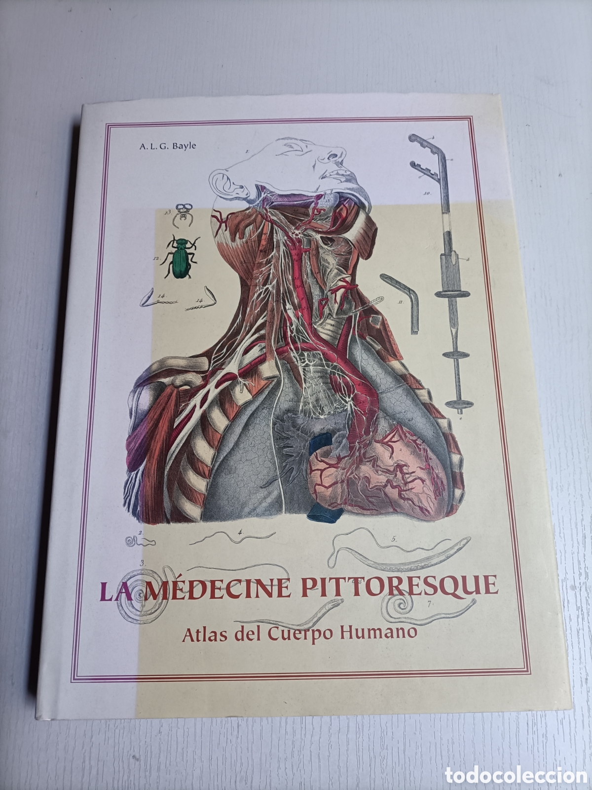 Libros de segunda mano: La Medicine Pittoresque .Atlas del cuerpo humano A.L.G. Bayle