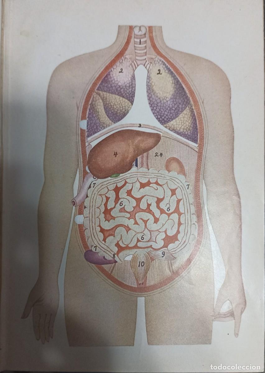 Libros de segunda mano: Gu&iacute;a pr&aacute;ctica de la Salud (57) - Foto 5