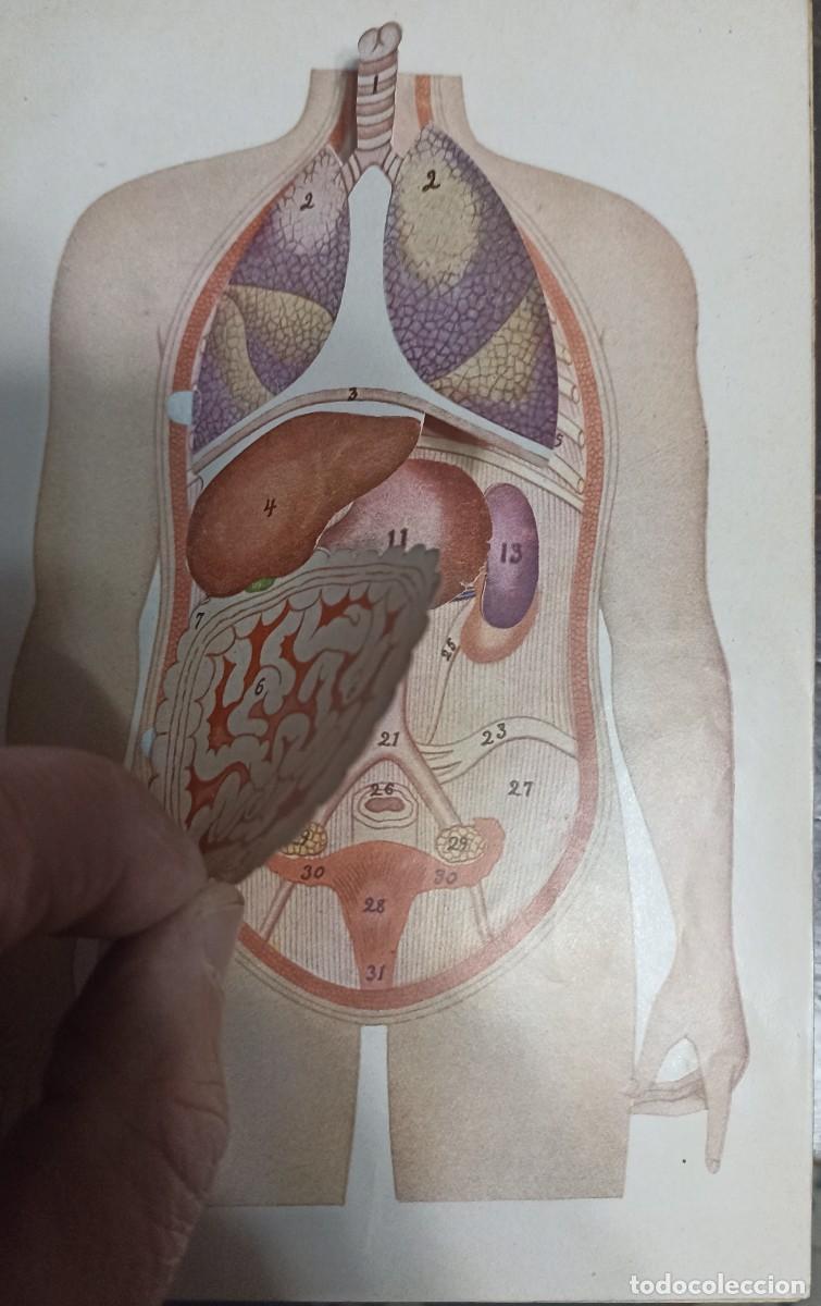 Libros de segunda mano: Gu&iacute;a pr&aacute;ctica de la Salud (57) - Foto 6