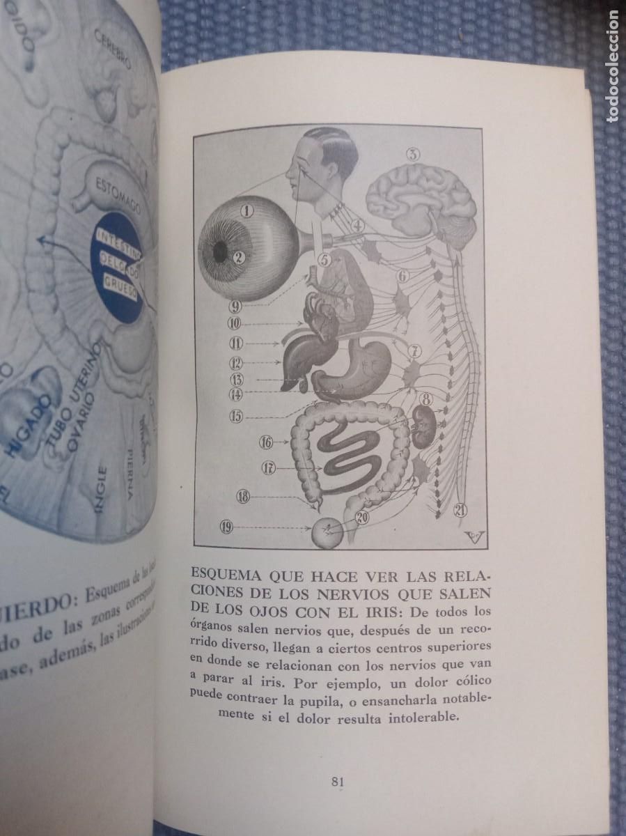Libros de segunda mano: Diagn&oacute;stico por el iris - Foto 3
