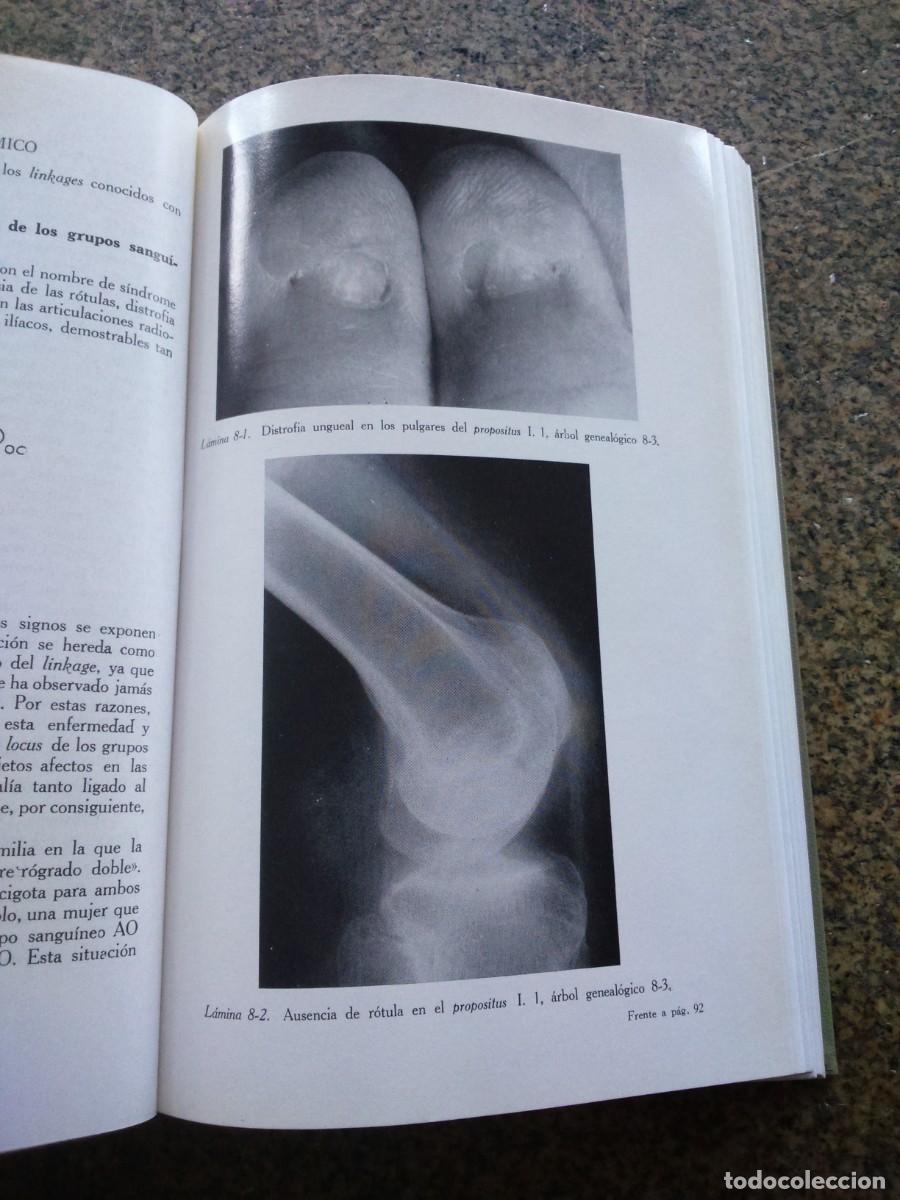 Libros de segunda mano: GENETICA PRACTICA -- CLARKE -- EDICIONES TORAY 1965 -- - Foto 3