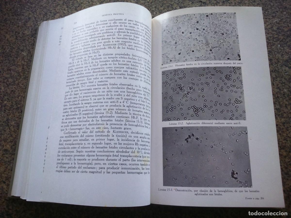 Libros de segunda mano: GENETICA PRACTICA -- CLARKE -- EDICIONES TORAY 1965 -- - Foto 4