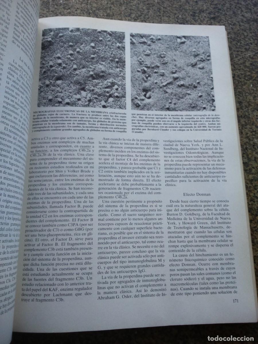 Libros de segunda mano: INMUNOLOGIA -- EDITORIAL LABOR 1983 -- - Foto 2