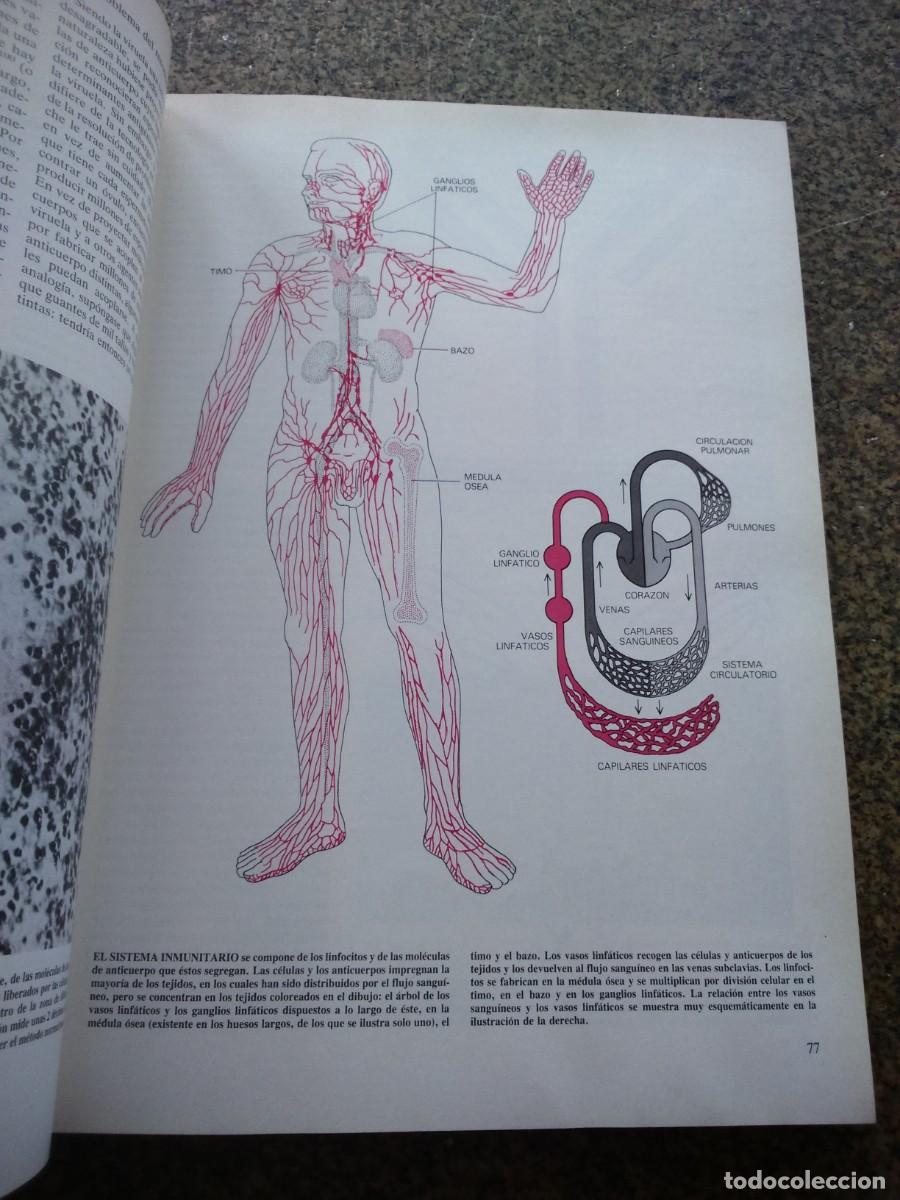 Libros de segunda mano: INMUNOLOGIA -- EDITORIAL LABOR 1983 -- - Foto 3