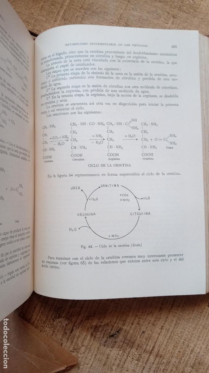 Libros de segunda mano: MANUAL DE BIOQU&Iacute;MICA. DR M SPINETTI-BERTI 1957 - Foto 3