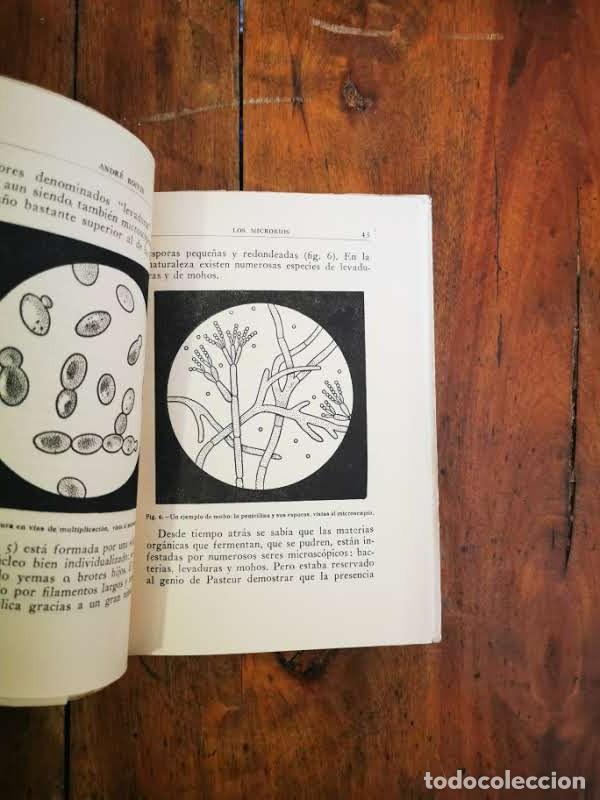 Libros de segunda mano: BOIVIN, Andr&eacute;. Los microbios/ versi&oacute;n espa&ntilde;ola de Carlos del Rivero - Foto 3