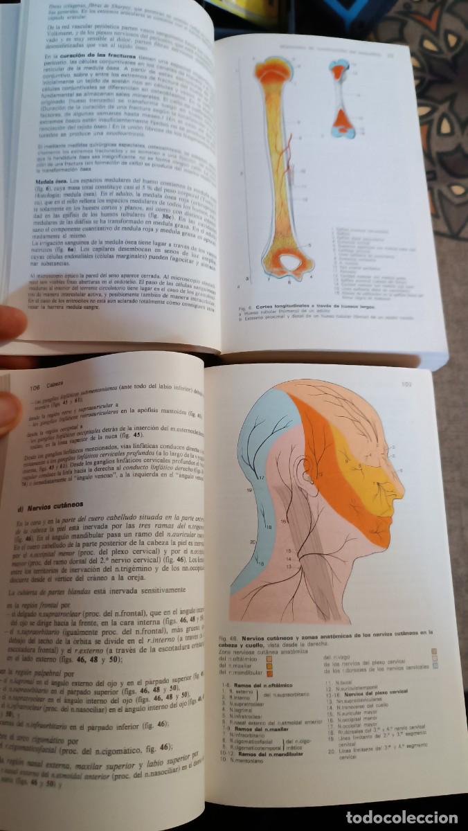 Libros de segunda mano: MANUAL DE ANATOMIA HUMANA - Foto 8