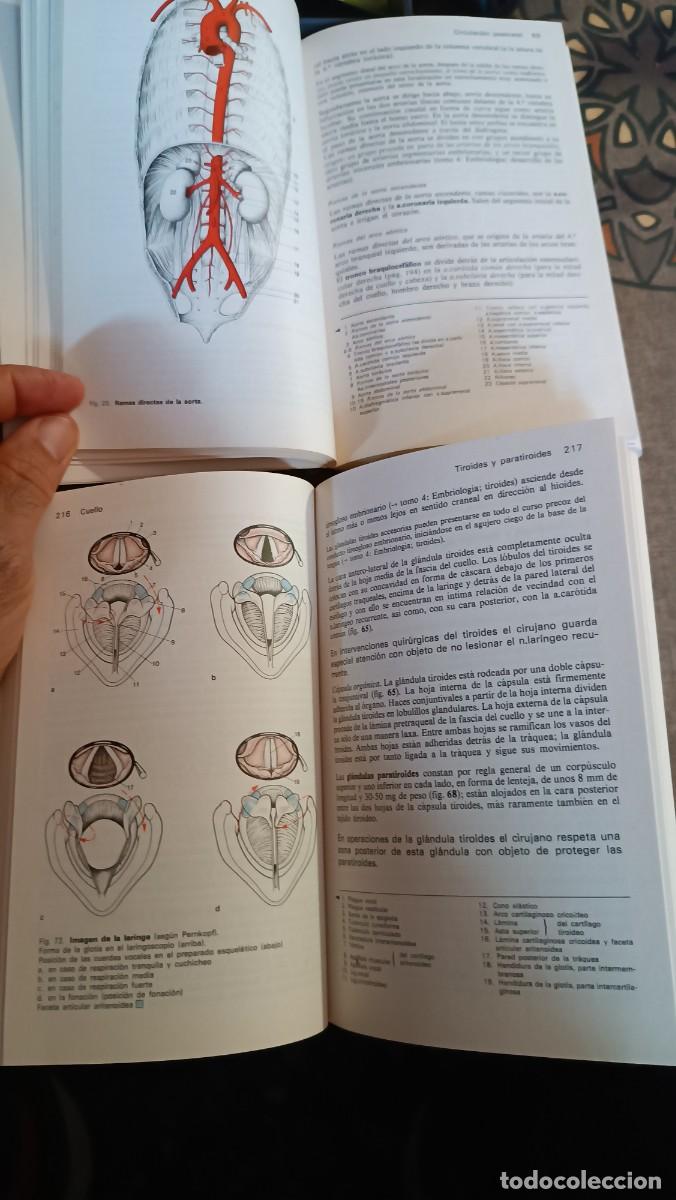 Libros de segunda mano: MANUAL DE ANATOMIA HUMANA - Foto 9