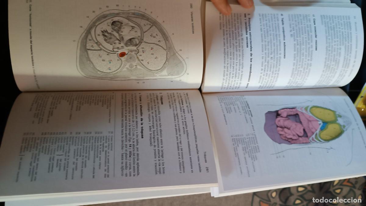 Libros de segunda mano: MANUAL DE ANATOMIA HUMANA - Foto 10