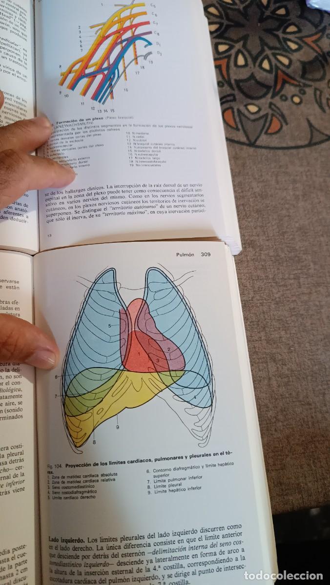 Libros de segunda mano: MANUAL DE ANATOMIA HUMANA - Foto 11