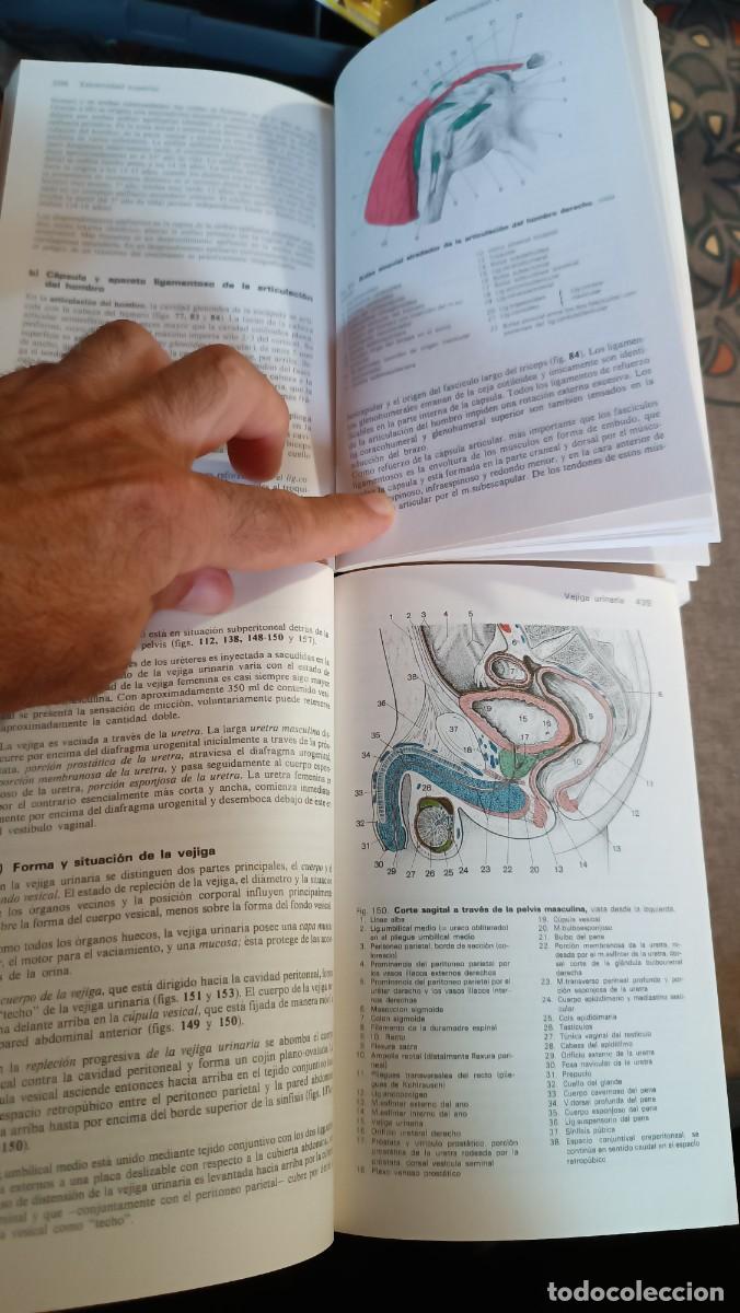 Libros de segunda mano: MANUAL DE ANATOMIA HUMANA - Foto 12